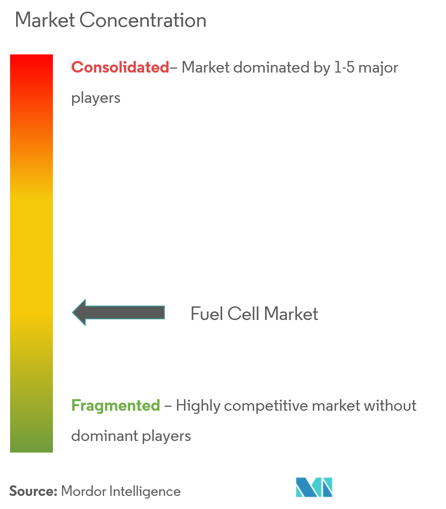 Concentração do mercado de células de combustível